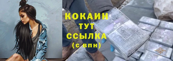 прущие грибы Михайловск