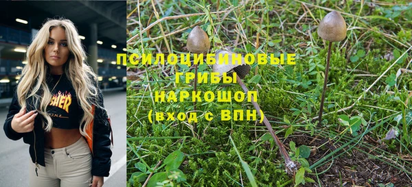 jwh Надым