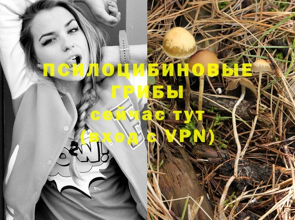 jwh Надым