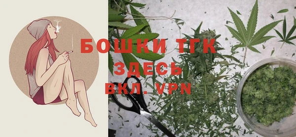 индика Болотное