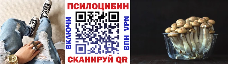 Псилоцибиновые грибы GOLDEN TEACHER  hydra ССЫЛКА  Палласовка 